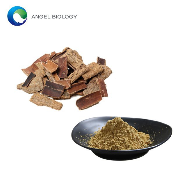 Eucommia Ulmoides Extract Powder